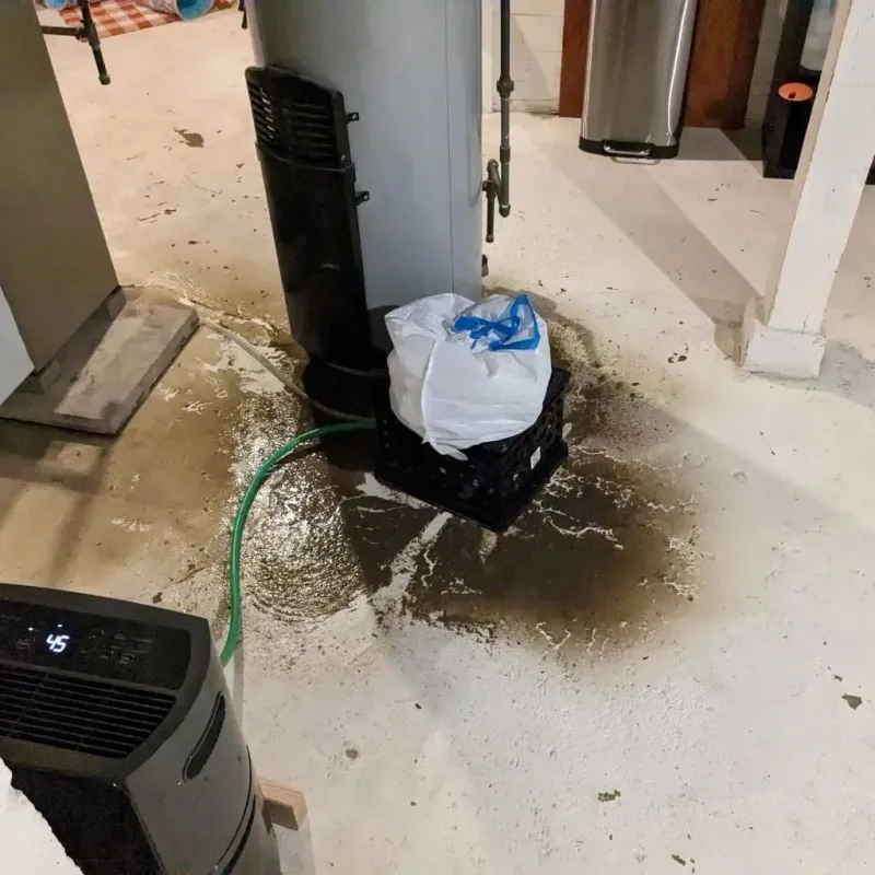 Sewage Backup Cleanup Service in Hunters Creek Village, TX